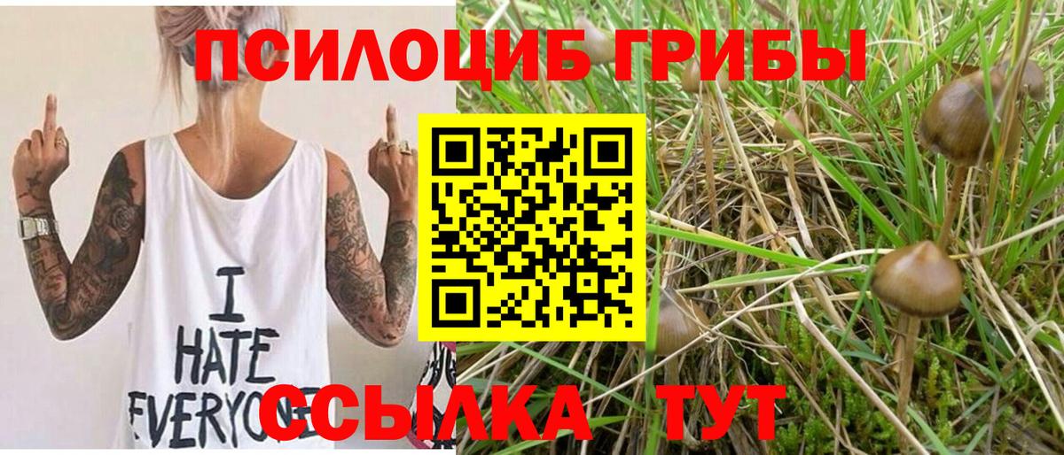 Галлюциногенные грибы ЛСД Вятские Поляны