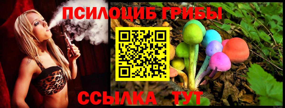 Галлюциногенные грибы мицелий  Вход с VPN  Галлюциногенные грибы мицелий  цена наркотик  Вятские Поляны 