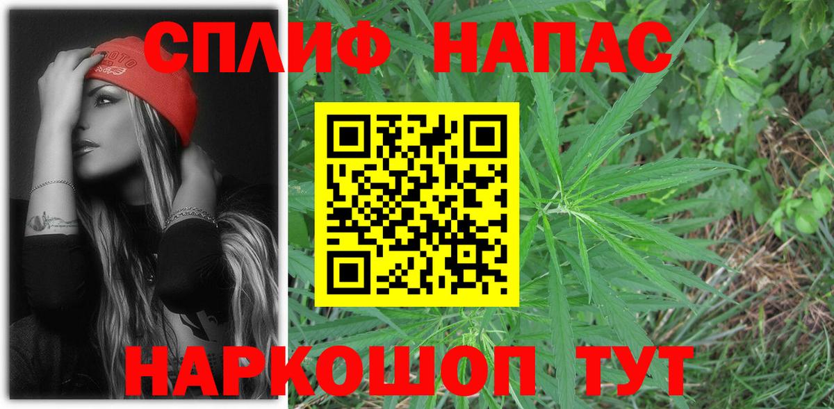 Каннабис OG Kush Вятские Поляны